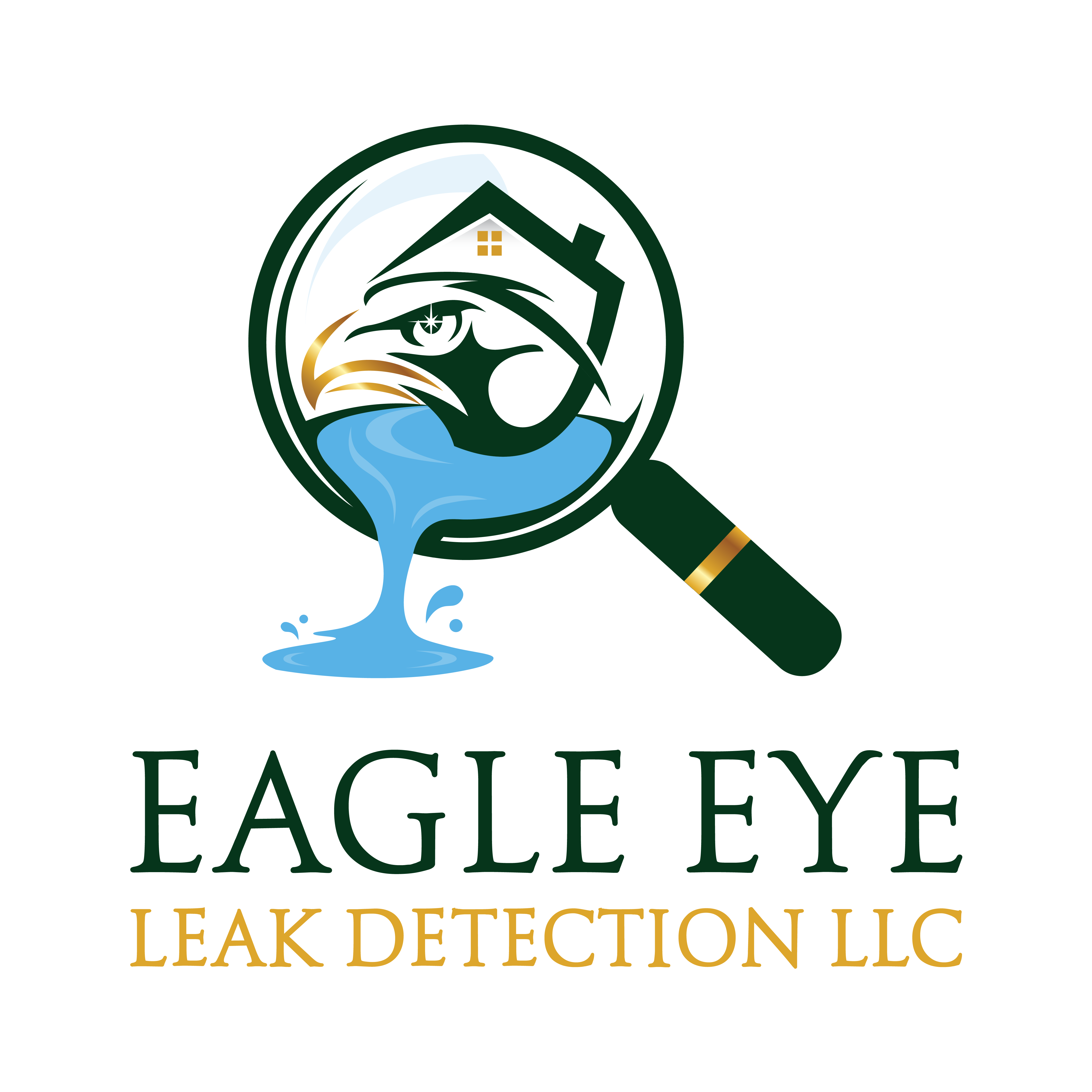 Main Line Leak Detection Eagle Eye Leak Detection